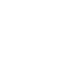 Github white logo